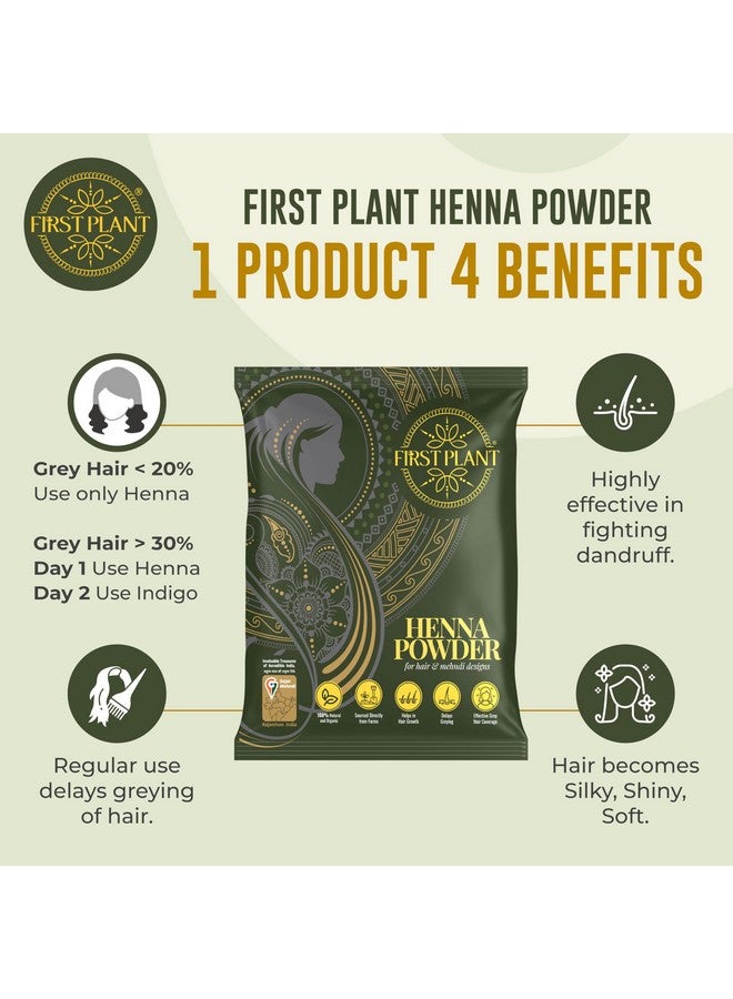 FIRST PLANT - Premium Rajasthani HENNA POWDER, 100% ORGANIC Henna with GI Tag for Hair Colour and Hair Care (2x75gm) - Image 4