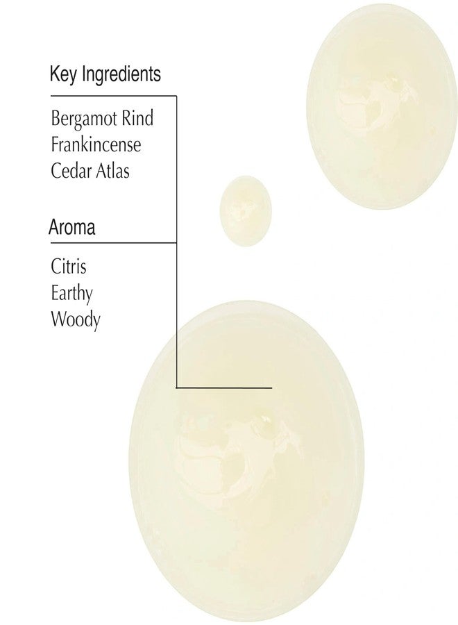 Aesop شامبو السفر من أيسوب | ينعّم الشعر، يستعيد اللمعان | قشر البرغموت، اللبان، أرز الأطلس | 3.3 أونصة / 100 مل - Image 3