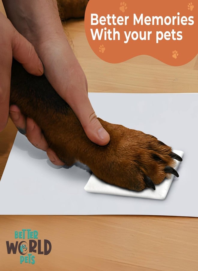 NaFurAhi إطار تذكاري لبصمة مخلب حيوانك الأليف من Better World Pets مع صورة، يتسع لصورة مقاس 4 × 6 بوصة أو 5 × 7 بوصة - طقم بصمة طيني تذكاري - للكلاب والقطط - مثالي لمحبي الحيوانات الأليفة - مفصلي للمكتب، رمادي - Image 4