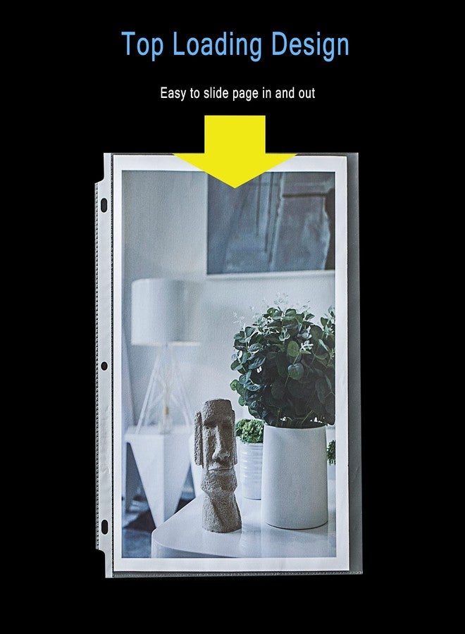 Seashell 100 Economy Non-Glare Sheet Protectors, Plastic Page Protectors for 3 Ring Binder, Letter Size, Top Loading, 3 Hole Punched, Binder Sleeves for 8.5 x 11 Paper, for School and Office use… - Image 3