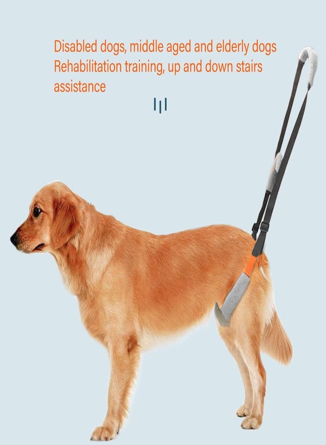 Zerodis 2 Pack Dog Support Harness, Portable Dog Support Sling with Adjustable Buckle for Pet Back Legs (Black) - Image 5