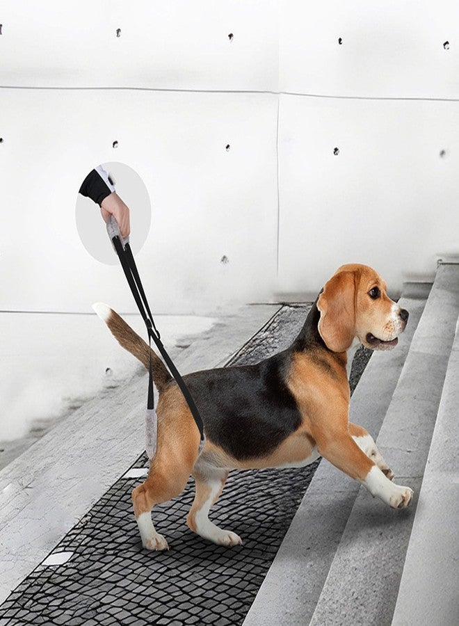 Zerodis 2 Pack Dog Support Harness, Portable Dog Support Sling with Adjustable Buckle for Pet Back Legs (Black) - Image 3