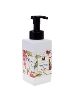 Boston International Scented Foaming Hand Soaps Made in the USA Foam Soap and Pump Dispenser 16 Ounces Country Fruits Apple Citrus Pear