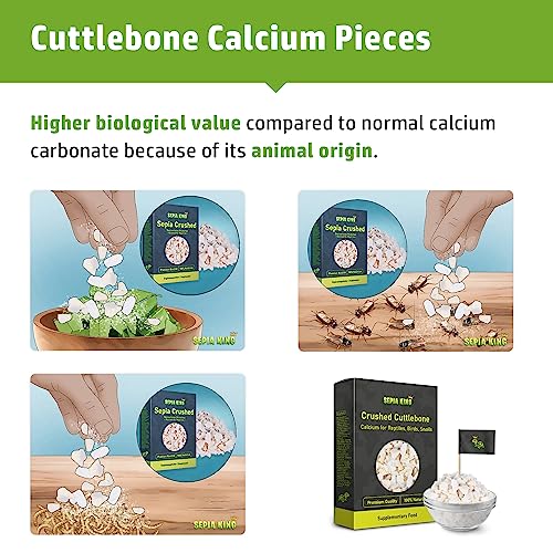 Sepia King - Crushed - 100% Natural Calcium Supplement - Premium Cuttlebone Perfect for Birds, Tortoises, Snails, Reptiles - 3.5 oz - Image 2