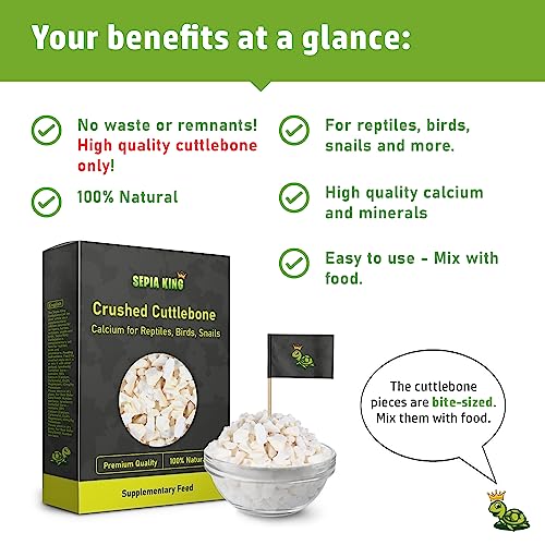 Sepia King - Crushed - 100% Natural Calcium Supplement - Premium Cuttlebone Perfect for Birds, Tortoises, Snails, Reptiles - 3.5 oz - Image 5