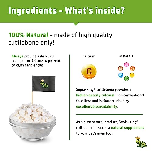 Sepia King - Crushed - 100% Natural Calcium Supplement - Premium Cuttlebone Perfect for Birds, Tortoises, Snails, Reptiles - 3.5 oz - Image 4