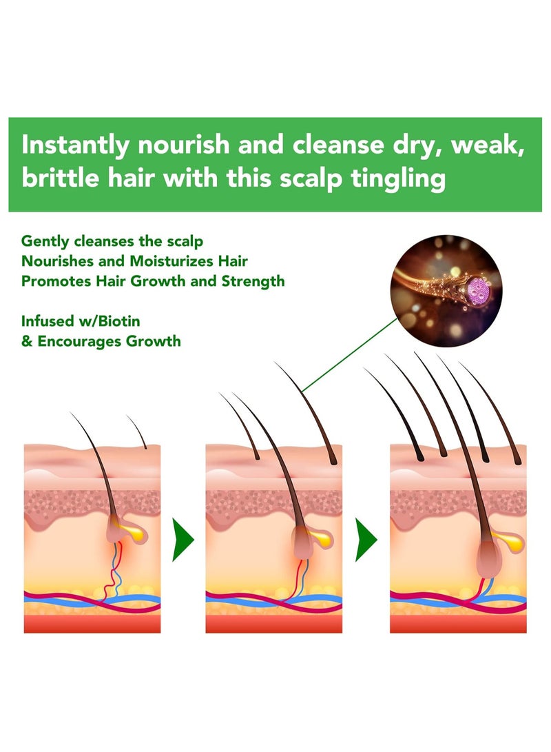 أليفر مجموعة شامبو وبلسم تقوية الشعر بالروزماري - Image 4
