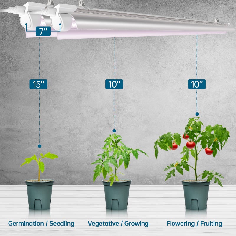Barrina 2FT T8 Grow Light, 144W(6 x 24W, 800W Equivalent), Full Spectrum Sunlight Plant Light, LED Grow Light Bulbs for Indoor Plant Growing,with V-Shaped Reflector, Pinkish White, 6-Pack - Image 5