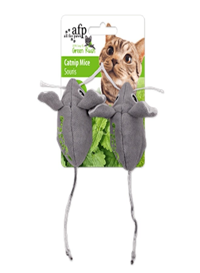 أوول فور بوز جرين راش - فئران النعناع البري