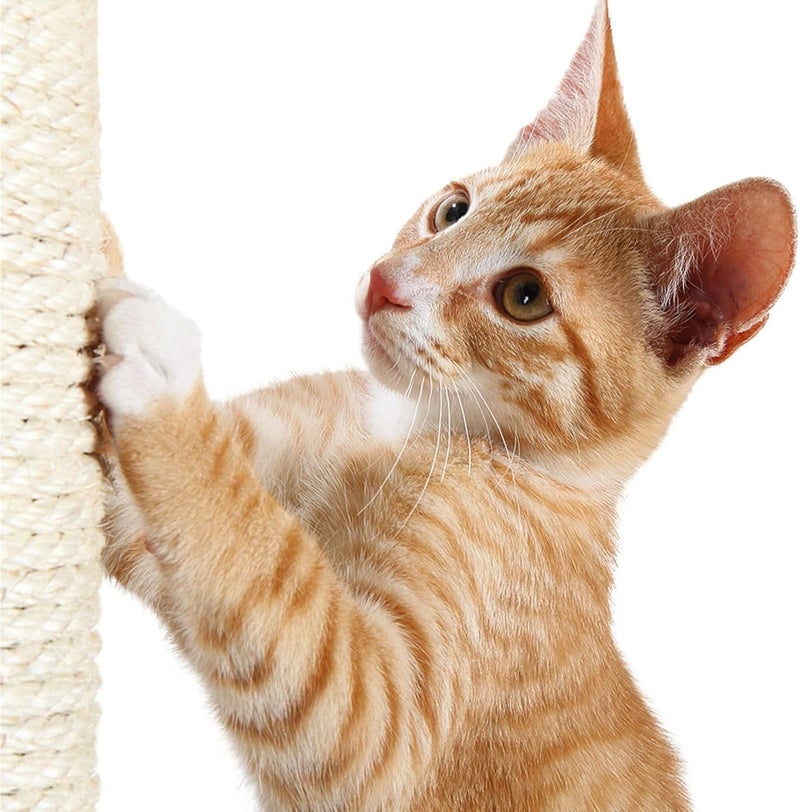 Trixie Replacement Sisal Post for Scratching Posts, Cat Trees and Cat Towers, 3.5 in x 15.7 in (9 x 40 cm) - Image 5