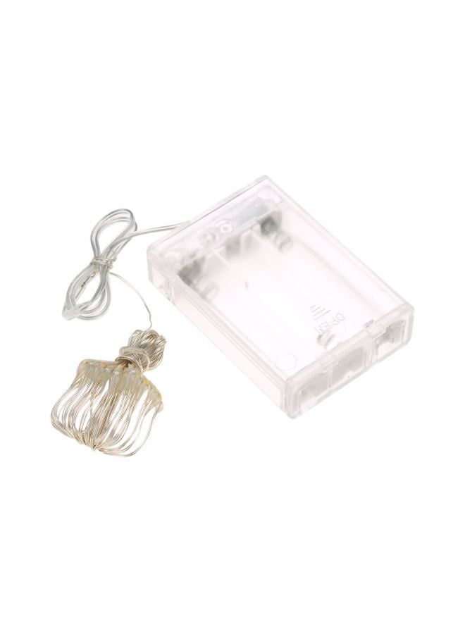 Loquat LED String Light White 5meter - Image 3