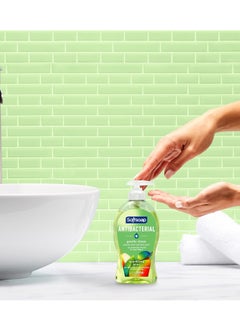 Softsoap Antibacterial Liquid Hand Soap, Gentle Clean, Sparkling Pear Scent Hand Soap, 11.25 Ounce, 6 Pack - pzsku/ZD2B29083380F1271BA76Z/45/_/1740623515/94a63c5e-74e5-460b-9697-bb071347d893