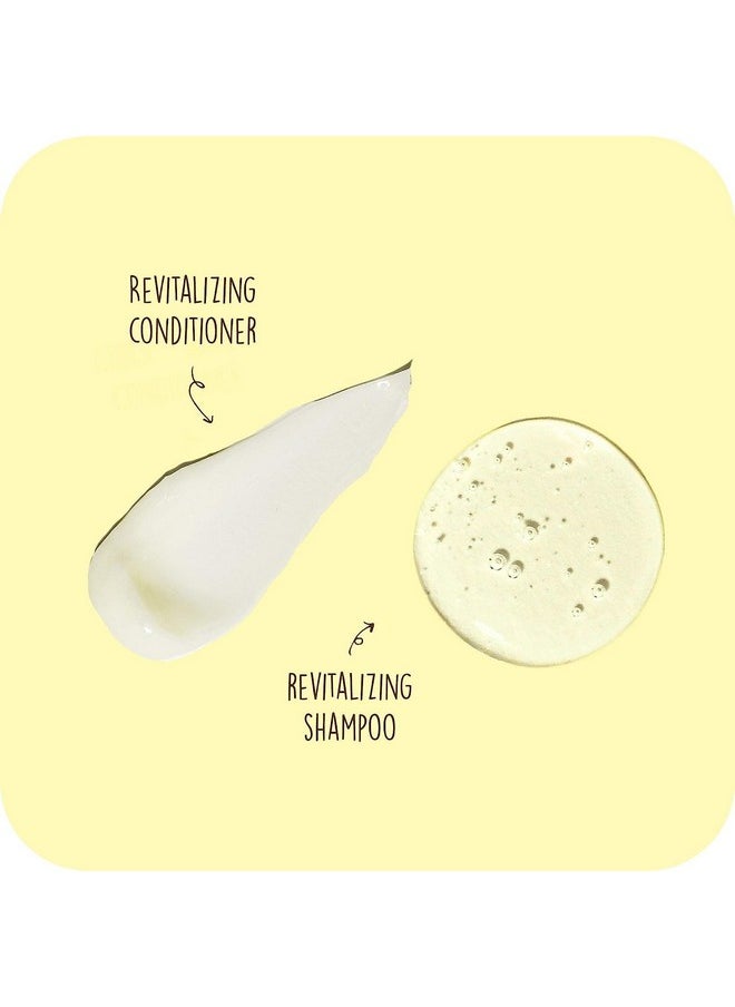 شامبو وبلسم Sun Bum Revitalizing نباتي وخالٍ من القسوة على الحيوانات، مرطب ومرطب ومعزز لللمعان للشعر، 10 أونصات لكل منهما - pzsku/ZD2B3F13DE0559EB7C7A5Z/45/_/1733729942/d640f662-74a7-4bc1-b7a6-2c2d56585ba6