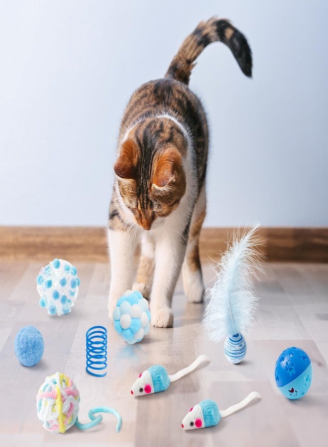 MALLMALL6 10Pcs Cat Toy Set Including Cat Springs Feather Teaser Wand Mice Crinkle Balls and Pet Bell Balls, Puzzle Interactive Pet Gift Pack Toys for Indoor Kitten (Blue) - Image 5