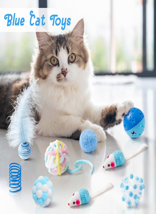 MALLMALL6 10Pcs Cat Toy Set Including Cat Springs Feather Teaser Wand Mice Crinkle Balls and Pet Bell Balls, Puzzle Interactive Pet Gift Pack Toys for Indoor Kitten (Blue) - Image 4