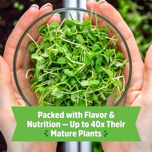 Back to the Roots Organic Microgreens Grow Kit with Ceramic Planter, Expandable Soil, Organic Seeds, and Germination Lid - Image 5