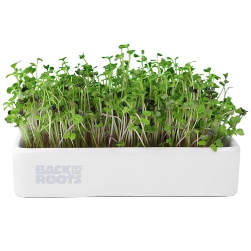 Back to the Roots Organic Microgreens Grow Kit with Ceramic Planter, Expandable Soil, Organic Seeds, and Germination Lid - Image 1