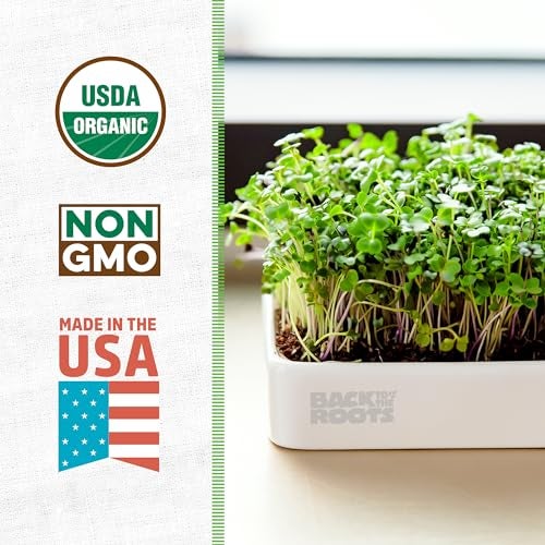 Back to the Roots Organic Microgreens Grow Kit with Ceramic Planter, Expandable Soil, Organic Seeds, and Germination Lid - Image 2
