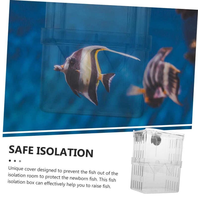 Large Aquarium Breeding Box with Suction Cups for Separating Aggressive or Injured Fish - Image 4