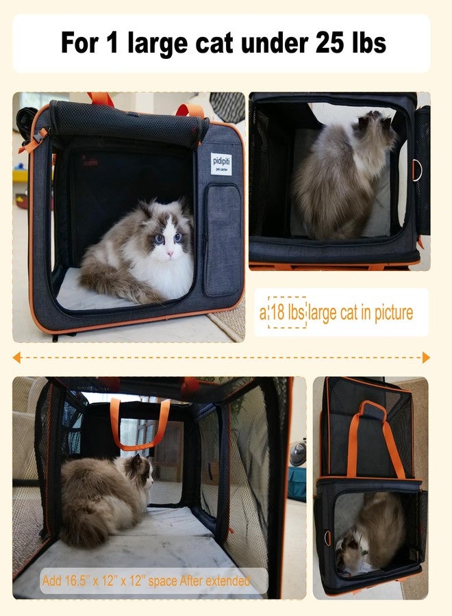 pidipiti 20 x 14 x 14 inches Expandable pet Carrier for 1 Large cat Under 25 lbs,2 Medium Cats 20 lbs+,cat Crate/Bag for Short Trip/Long Distance car Travel - Image 2