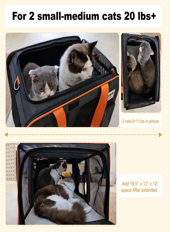 pidipiti 20 x 14 x 14 inches Expandable pet Carrier for 1 Large cat Under 25 lbs,2 Medium Cats 20 lbs+,cat Crate/Bag for Short Trip/Long Distance car Travel - Image 3