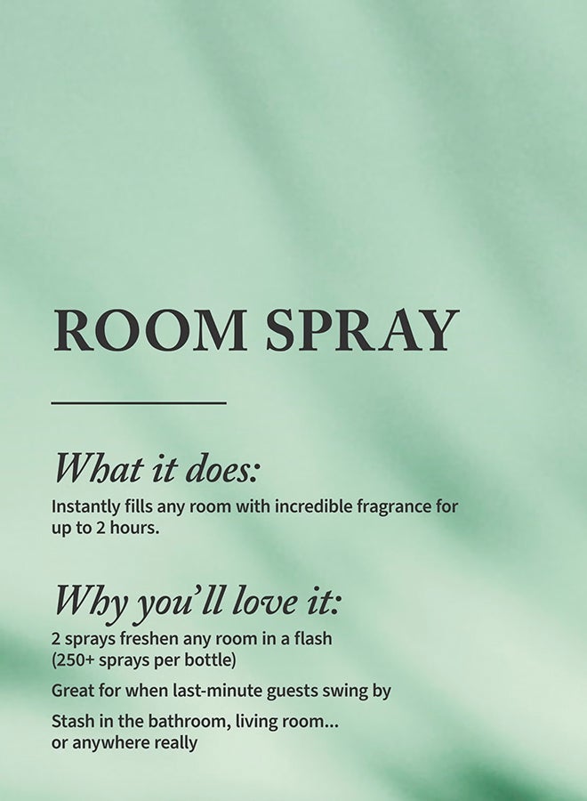 Bath & Body Works بخاخ غرفة جينغام 42.5 جرام / 1.5 أونصة - Image 2