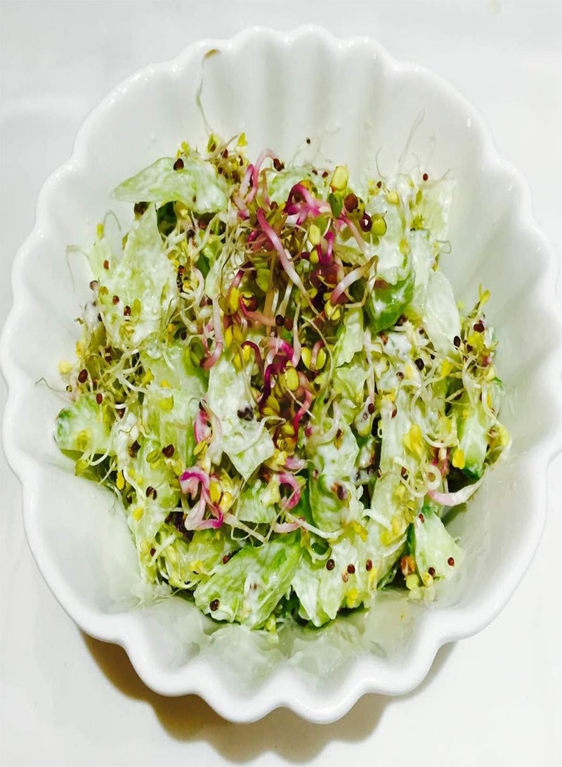 GGOOT Organic Broccoli Sprouting Seeds | Microgreens | Non-GMO | Same Day Dispatch - Image 2