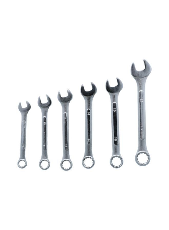 Regal 6-Piece Metric Combination Wrench Set Silver - Image 1