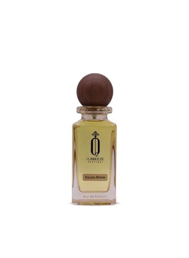 BREEZE PERFUMES عطر دافانا بريز 75 مل للرجال والنساء | عطر عربي طويل الأمد | رائحة فاخرة قوية - Image 1