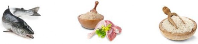 Josera Kitten Dry Food - 400 g - Image 3