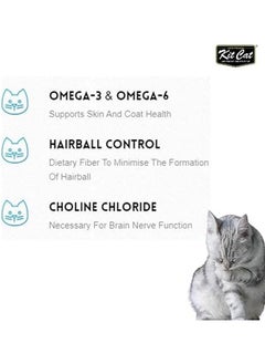 Kit Cat Kitten And Pregnant Dry Cat Food 1.2Kg  - Image 3