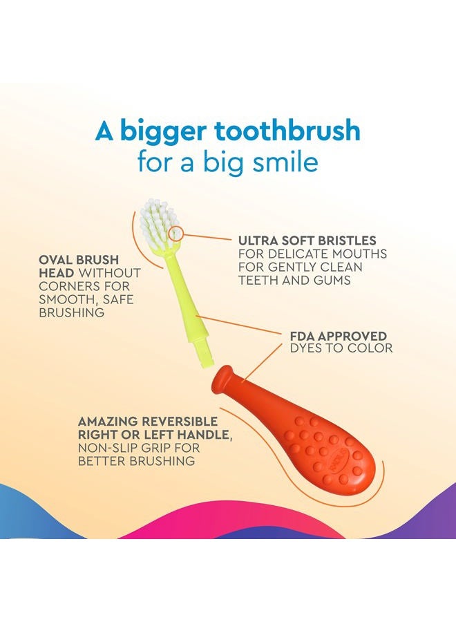 Radius Big Kidz Forever Brush Replacement Heads for Children, 6 Years and Up, BPA Free ADA Accepted for Growing Teeth and Gums, 2 Heads - Extra Soft (3 Count) - Image 3