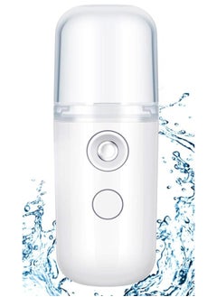 EasyLife Portable USB Charging Nano Spray Personal Mini Facial Steamer  - Image 1