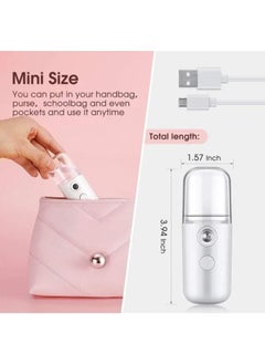 EasyLife Portable USB Charging Nano Spray Personal Mini Facial Steamer  - Image 2