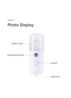 EasyLife Portable USB Charging Nano Spray Personal Mini Facial Steamer  - Image 4