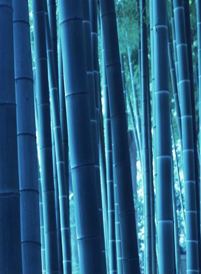 GGOOT 50Pcs Rare Blue Bamboo Seeds Home Garden Decorative Tree Herb Plant - Image 1