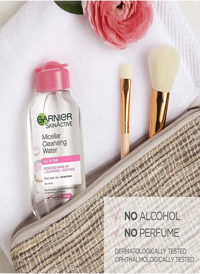 Garnier - 2Pcs Skin Active Micellar Cleansing Water Classic 100ml+100ml - Image 1
