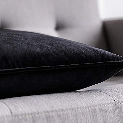 Blue Monkey Soft Velvet Cushion Cover Soft Throw Pillow Cover Pack of 2, Solid Square Cushion Case (18x27, Black) - Image 2