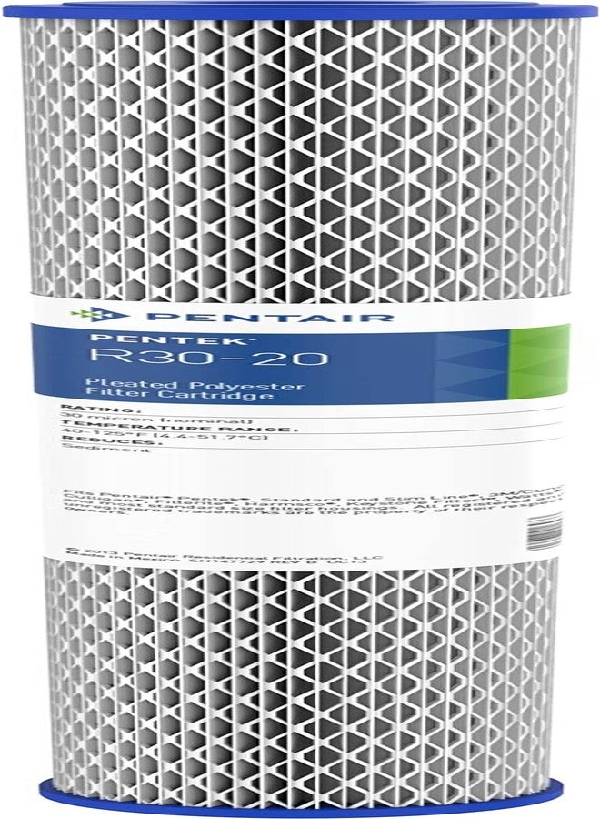 Pentek Pentair Pentek R30-20 Sediment Water Filter, 20-Inch, Whole House Pleated Polyester Filter Cartridge, 20" x 2.5", 30 Micron, White, 1 Count (Pack of 1) - Image 1
