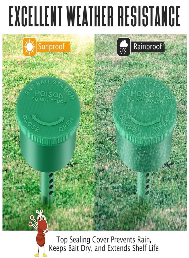 Qualirey - 2 Pack Ant Hook Station Reusable (hook not included), Multi-Surface Ant Killer for Home, Ant Control for Outdoor Use, Eliminates - Image 5