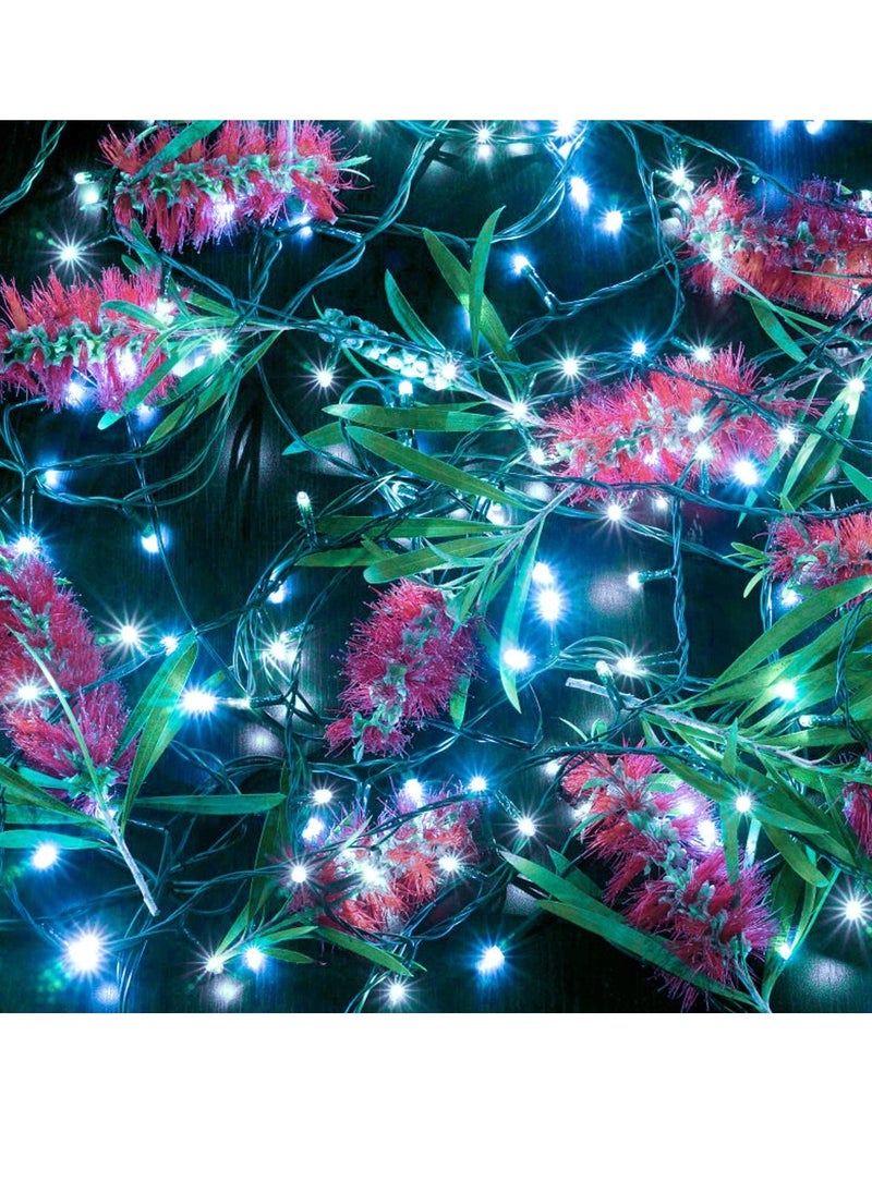 PAMEER - Cool White LED String Lights Black Wire Plug in 20mtr 250 LEDs String Home Decorative LED Strip for Christmas EID Ramadan and Wedding Parties Decoration Box Button Control 8 Modes - Image 1