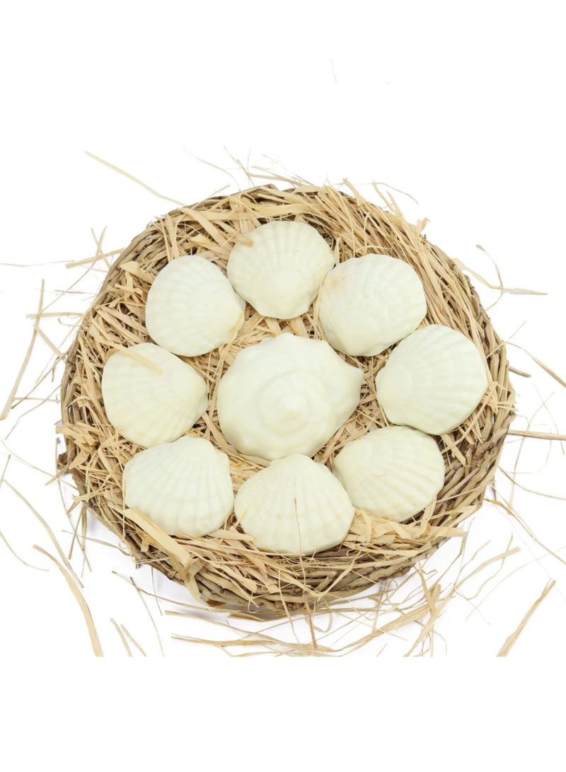 نيفيرتاري مجموعة البحر الأحمر من نفرتارى