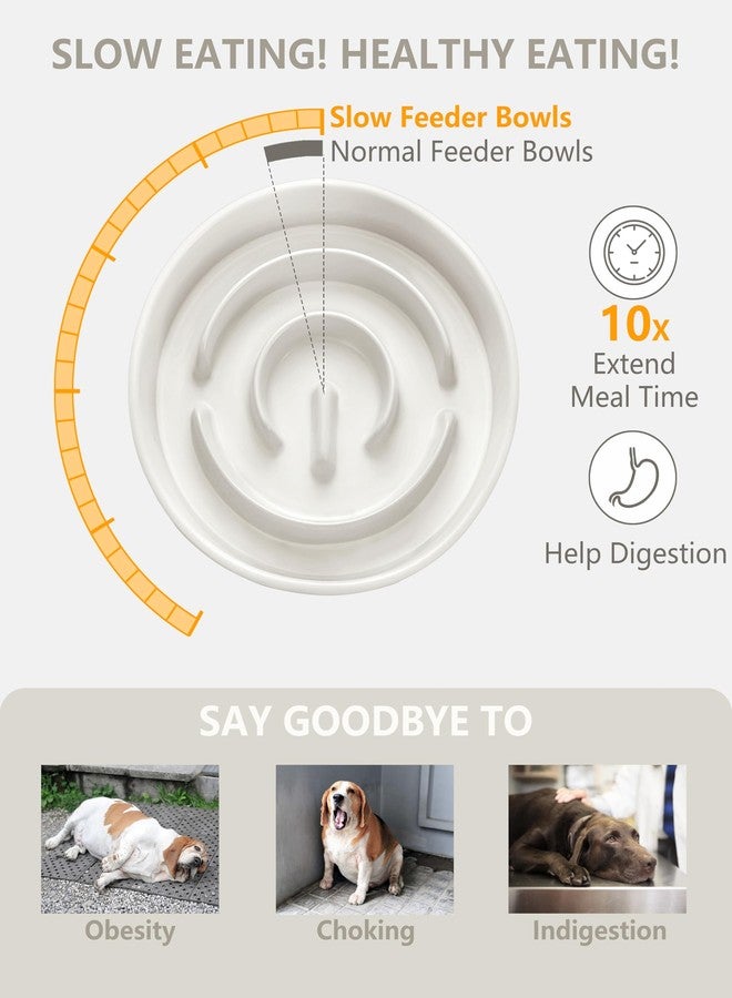 MOPANG Ceramic Slow Feeder Dog Bowls Elevated, 2.0 Cups Slow Feeder for Medium Dogs, Puzzle Maze Bowl to Slow Down Eating, 30oz, 8in, White - Image 3