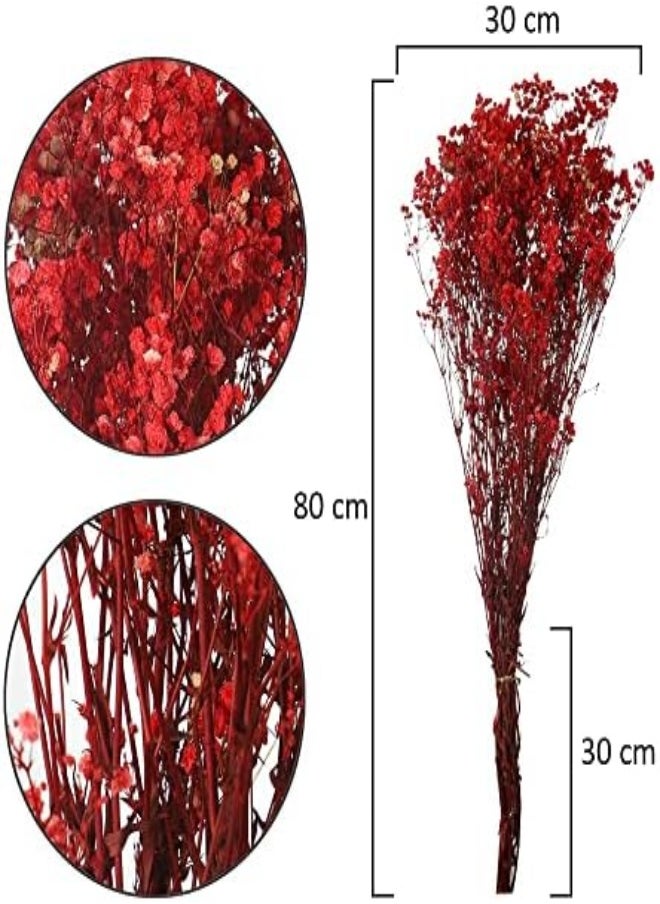 Dried-Flowers-Babys-Breath, Durable, Non-Fading Artificial Flowers, Natural Red Gypsophila Branches for Home Decor, Office Decor, Wedding Decor - pzsku/ZD2CDCDFAAED93C7B6022Z/45/_/1716555051/90b199a5-fd9c-4c72-9802-482f7666d1ca