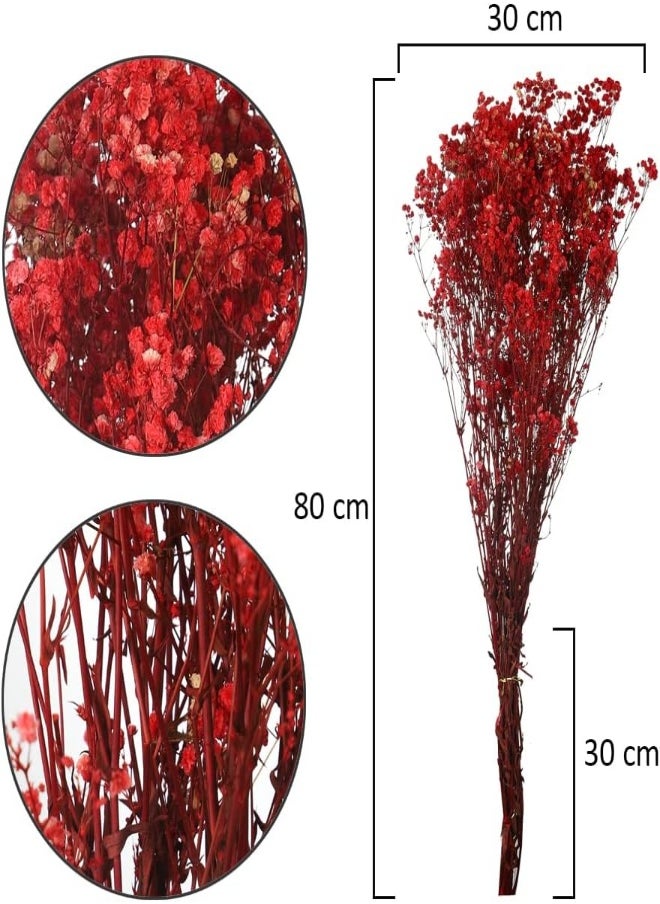 Dried-Flowers-Babys-Breath, Durable, Non-Fading Artificial Flowers, Natural Red Gypsophila Branches for Home Decor, Office Decor, Wedding Decor - pzsku/ZD2CDCDFAAED93C7B6022Z/45/_/1716555052/4a0659cf-5734-404c-8f98-4efe9497cf65