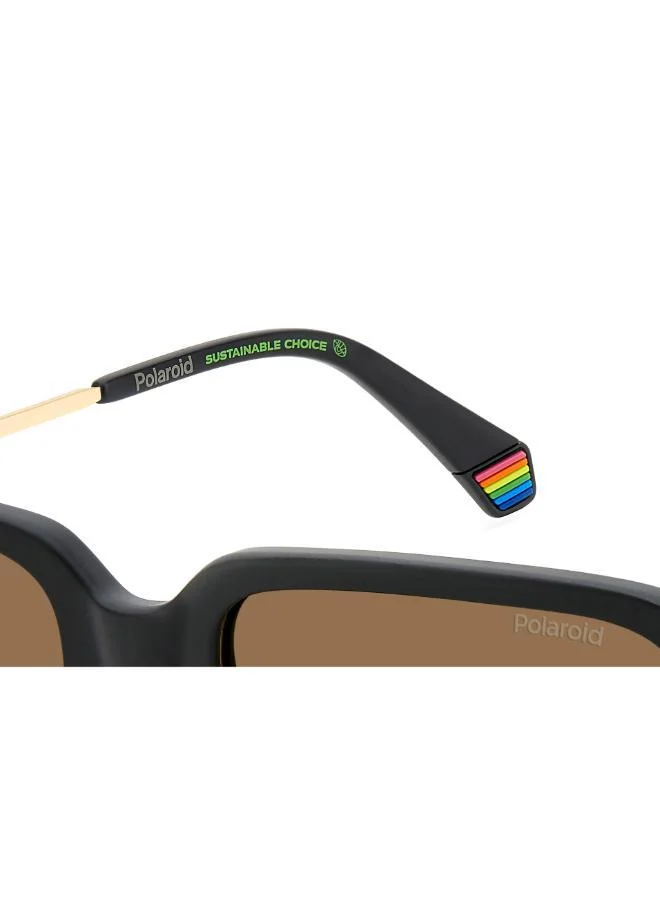 Polaroid  Wayfarers Sunglasses for Men | Best Price UAE