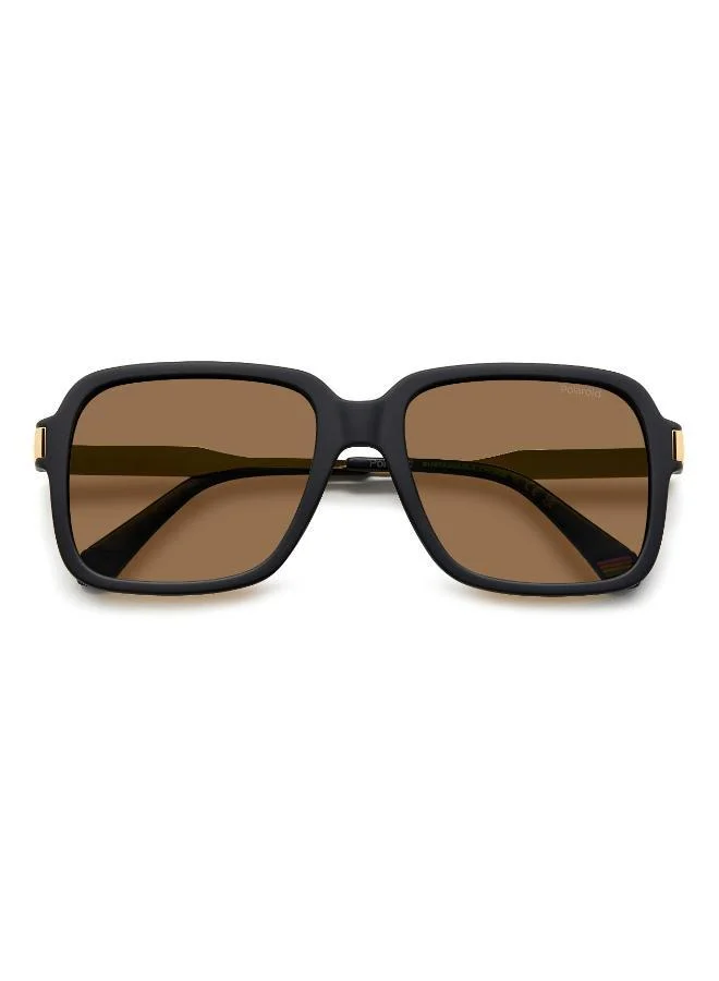 Polaroid  Wayfarers Sunglasses for Men | Best Price UAE