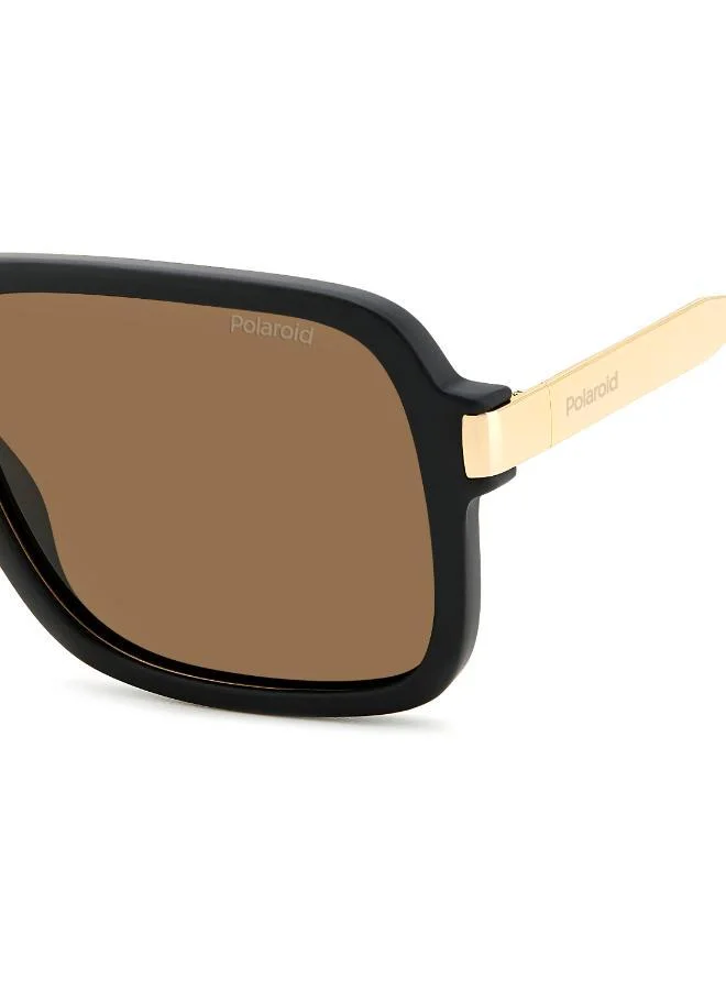Polaroid  Wayfarers Sunglasses for Men | Best Price UAE