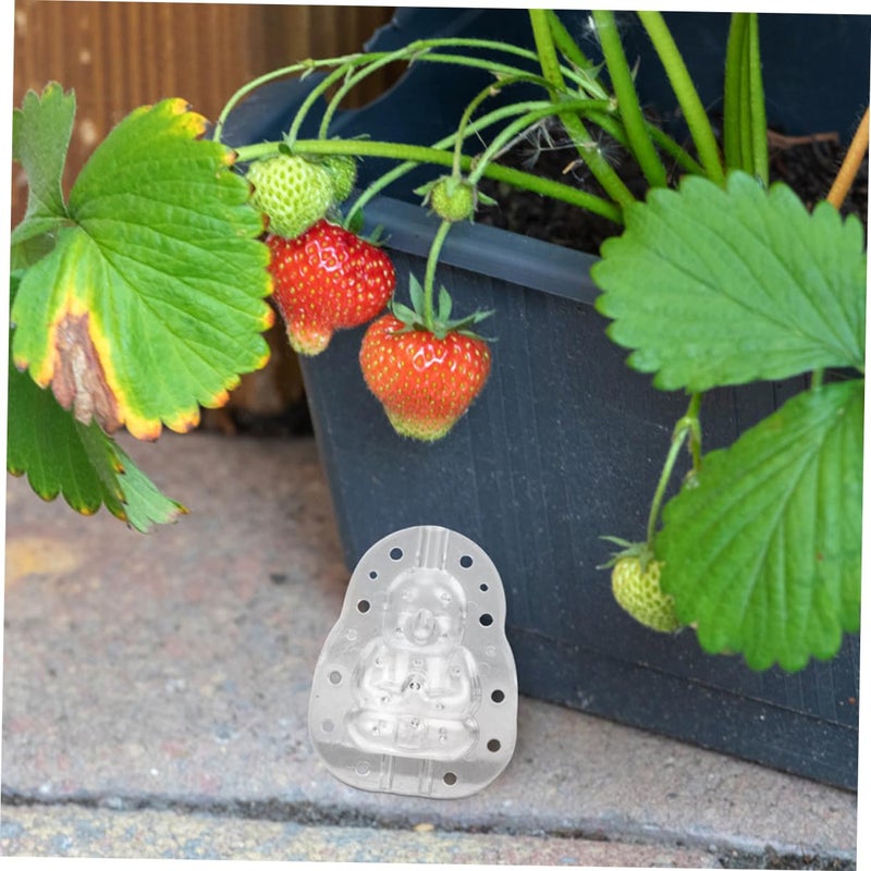 2Pcs Transparent Fruit Shaping Molds For Watermelon Pear Peach Strawberry And Melon Designs - Image 5