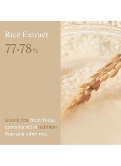 I'M FROM Rice Toner, Milky Toner for Glowing Skin, 77.78% Korean Rice, Glow Essence with Niacinamide, Hydrating for Sensitive, Dry, Dull, Combination Skin Moisturizer, Vegan, Fragrance Free, Glass Skin 150ml  - Image 5